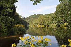 El paisaje está limpio, sin basuras y se ven muchas plantas y árboles.