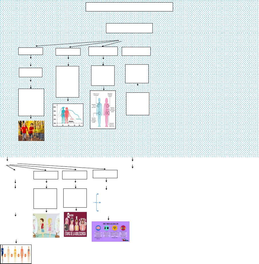 Mapa conceptual (la pubertad).