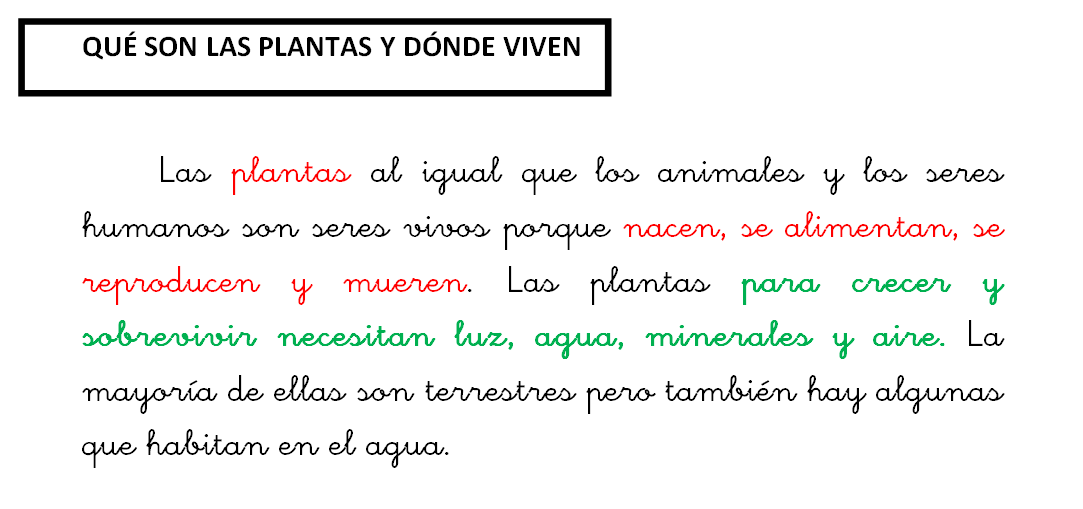 Texto: qué son las plantas