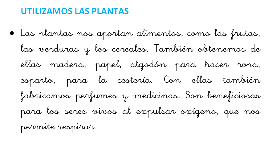 Utilizamos las plantas