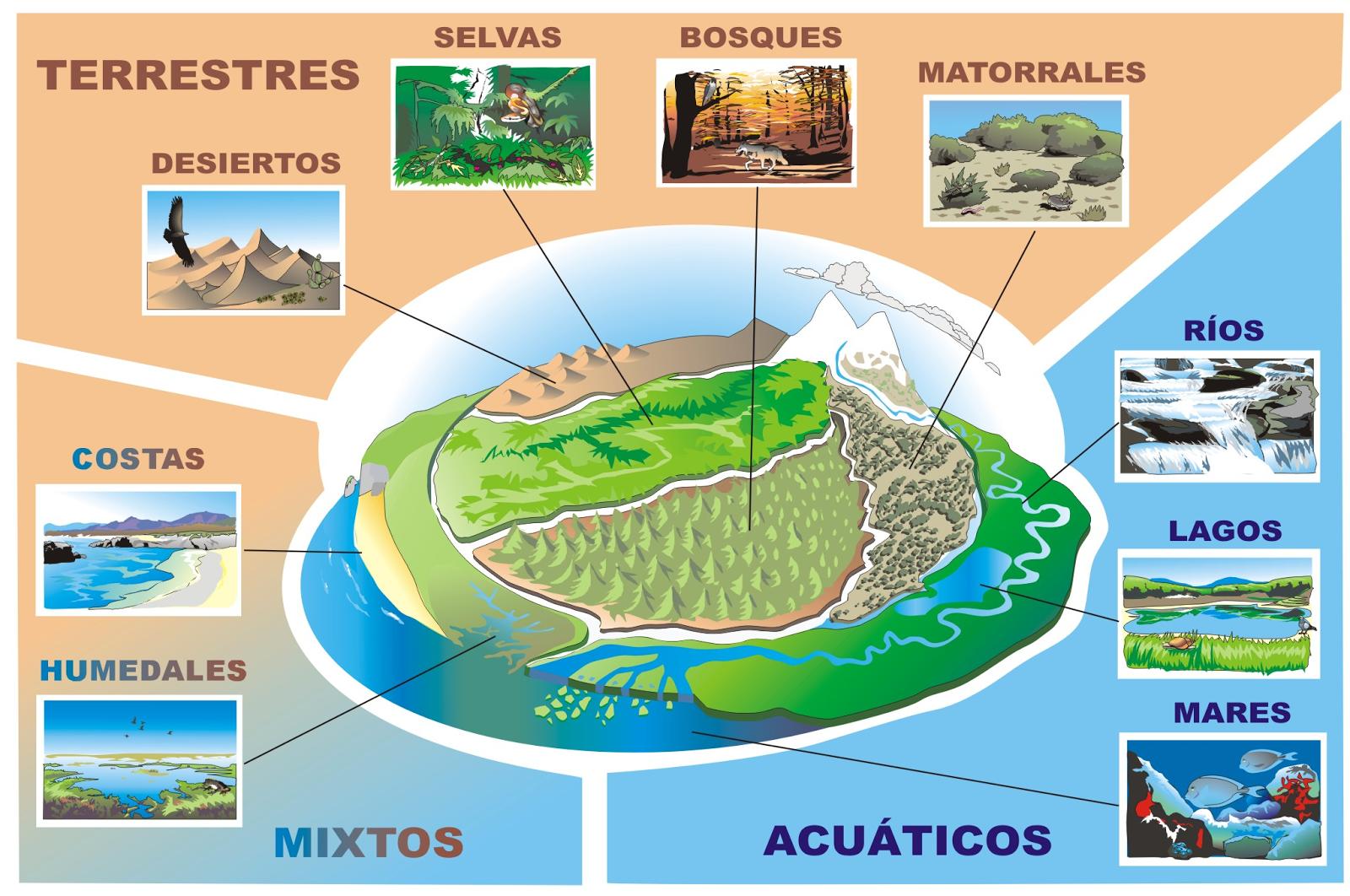 Imagen con ejemplos de ecosistemas terrestres, acuáticos, mixtos