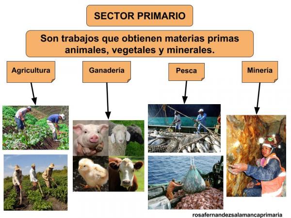 El sector primario.